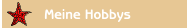  Meine Hobbys