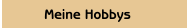  Meine Hobbys